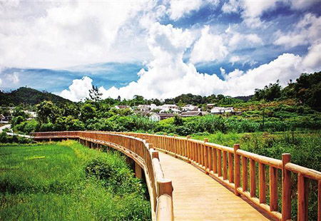 文化和旅游部推出149條全國鄉村旅游精品線路，繪就鄉村振興新畫卷